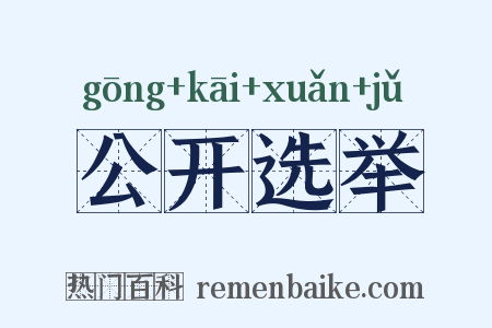 公开选举是什么意思的图片